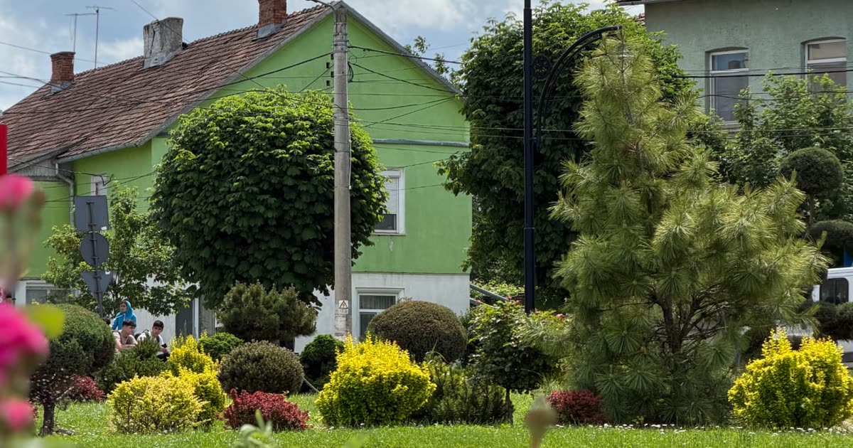 Colț de stradă verde din Orașul Victoria, cu case îngrijite și vegetație bogată, zonă potrivită pentru cazare în regim hotelier